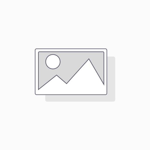  Budnik Horn Button